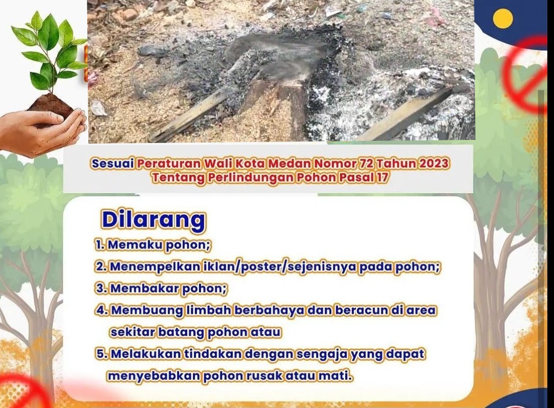 Langgar Perwal, Pohon Di "Matikan" Di Duga Demi Kepentingan Pemilik Cafe Di Jalan Bilal Kelurahan Pulau Brayan Darat 1
