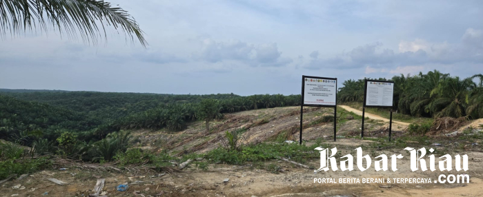 Tanpa Solutif, Ribuan Warga Dikawasan TNTN Nekat Bertahan