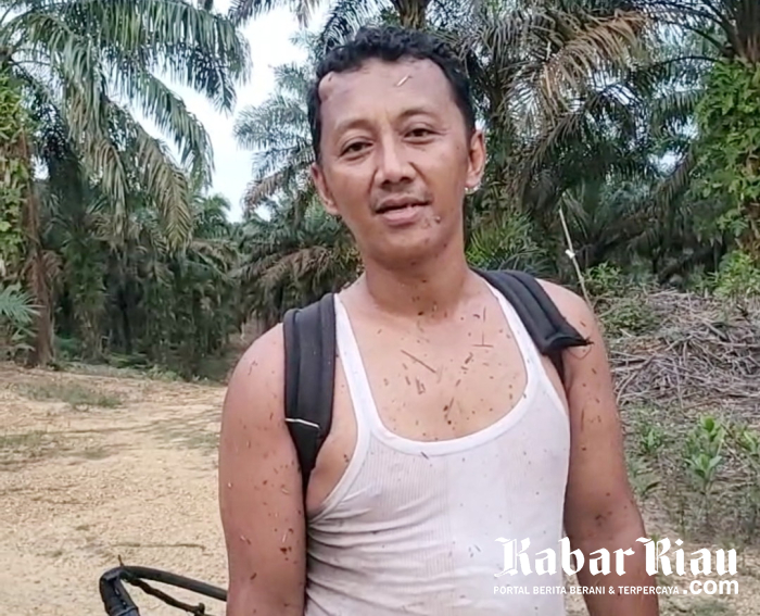 Jual Lahan Penghijauan Mempermalukan Nama Mandala Foundation, Maruf Sugiyanto Terancam Dipecat