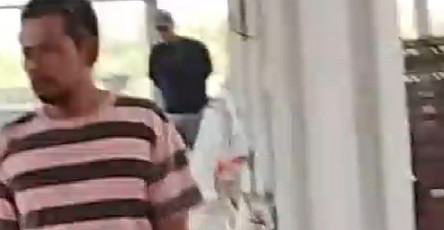 Kandang Babi Dapat Izin Lurah Agrowisata Tanpa Persetujuan Tetangga, Warga Minta Wako Pekanbaru Nonaktifkan Zulken