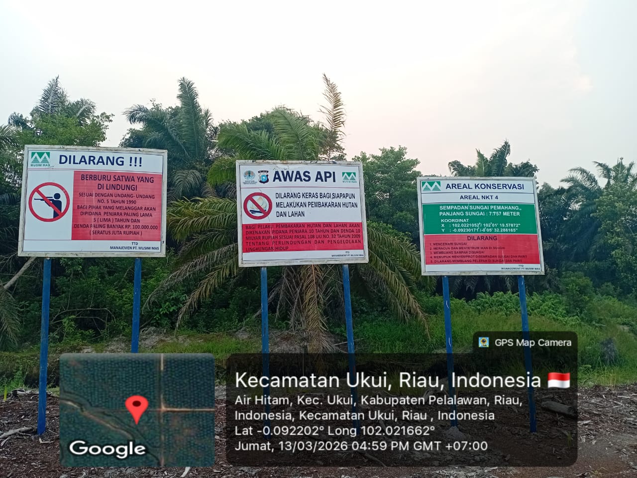 Diduga Selain Merusak DAS PT Musim Mas Juga Melakukan Normalisasi Ilegal Merusak Ekosistem Sungai