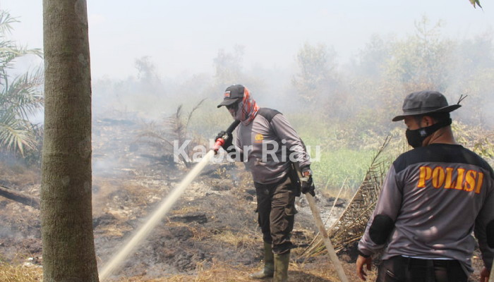 Lahan Gambut Kawasan PT Arara Abadi Kembali Terbakar, Jokowi Dinilai Warga Riau tidak Tegas