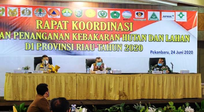 Ini Pesan Syamsuar Saat Rapat Koordinasi Kesiapan Penanganan Karhutla