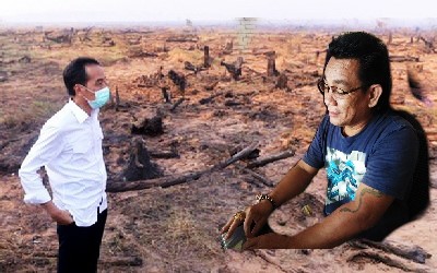 Aktivis Minta PT IIS Putuskan Hubungan dengan KUD Delima Sakti, Karena Langgar Aturan RSPO