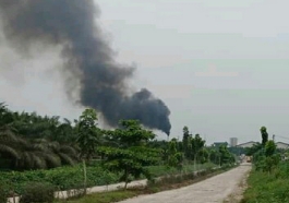 PKS PT Adei Plantation and Industry di Pelalawan Tampung Sawit Dari Kawan Hutan