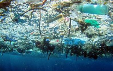Tim Pembela Lautan Greenpeace Selidiki Sampah Plastik Perusak Karang