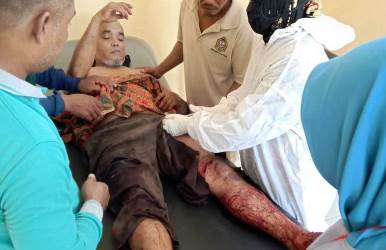 Berita Terkini - Petani Karet di Bengkalis, Diterkam Harimau