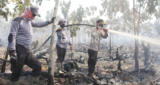 Kota Pekanbaru Dikepung Kabut Asap Kebakaran Hutan