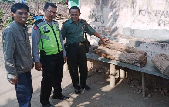 Ditangkap Tuduhan Mencuri Kayu Lapuk 3 batang Buamin Minta Kebijakan Jokowi