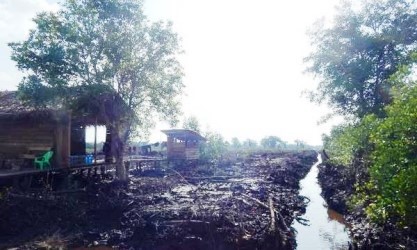 Terkait Tambak Udang Ilegal di Bengkalis Warga Harap Kadis DLHK Riau "Unjuk Taring"