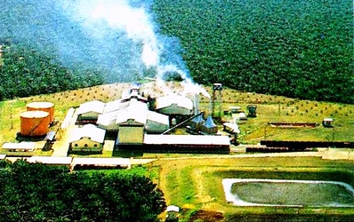 Puluhan Warung Dibangun, Geliat Ekonomi Desa Rimpian Kian Terasa