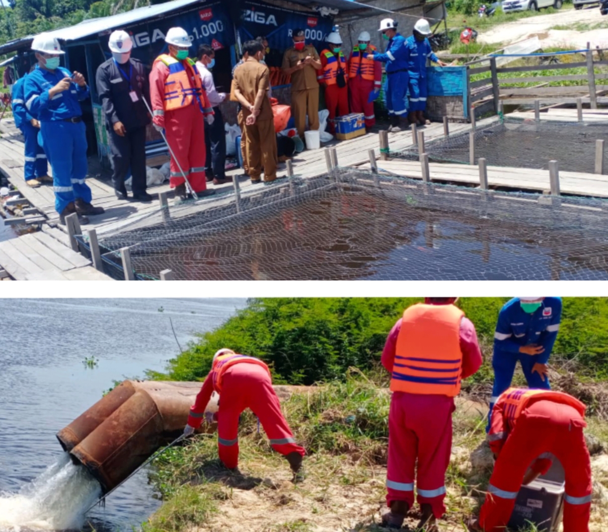 Pasca Diberitakan! PT.CPI Dan DLH Rohil Ambil Sample Bekas Matinya Puluhan Ribu Ikan Dirohil