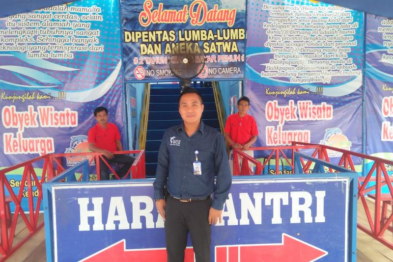 Pengunjung Sirkus Lumba-lumba di Pekanbaru Membludak