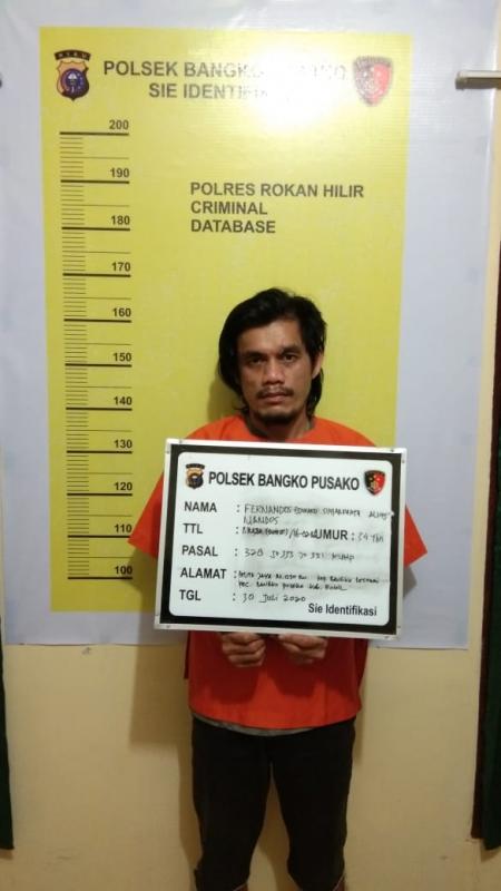 Keren...Cuma Satu Hari ! Polsek Bangko Pusako Bersama Tim Gabungan Tangkap DPO Otak Penculikan Pemuda Asal Rohil