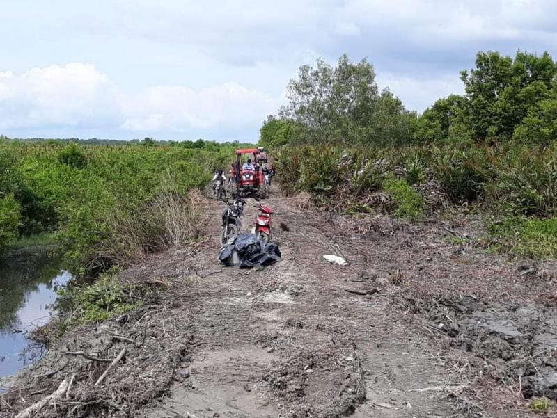 Bupati Rohil Rela Naik Traktor Untuk Meninjau Pembuatan Tanggul Dan Lahan Pertanian�