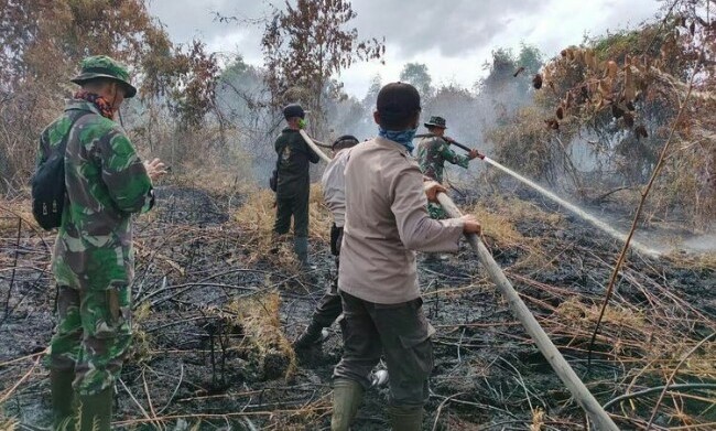 Kasus Karhutla PT Duta Swakarya Indah Siak Masih "Jalan Ditempat", Warga: Diduga Perusahaan Akan Cari "Kambing Hitam"