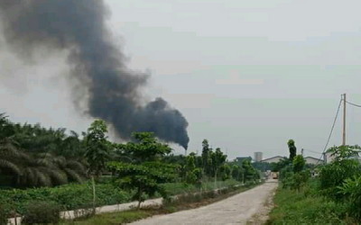 TIM RSPO Diminta Kaji Kembali Izin PT Adei Plantation