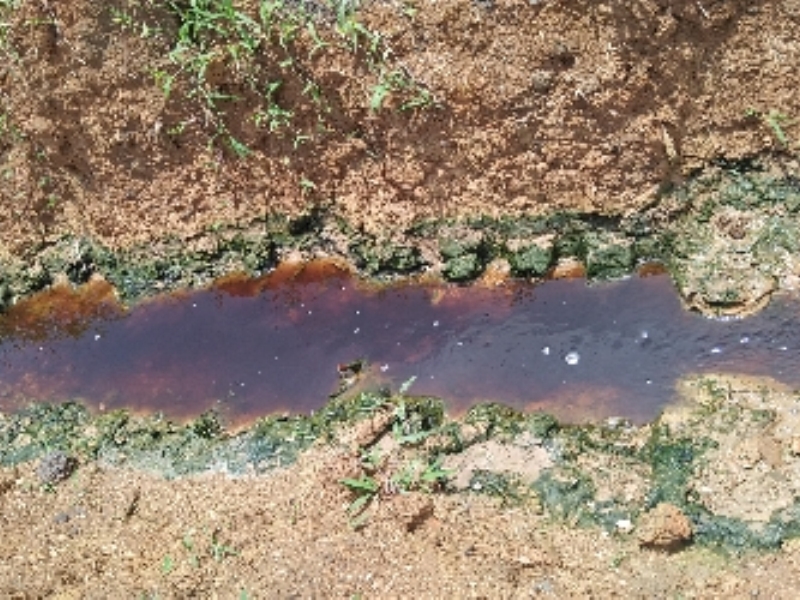 DLH Inhu Menunggu Hasil Lab Limbah PT KAS