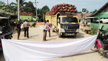 Rusak Hutan Keliling Kepung Sialang PT Adei Plantation Dikepung Warga