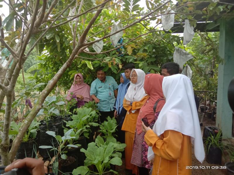 Cokroaminoto Ajak Masyarakat Manfaatkan Pekarangan Rumah