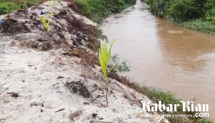 Lapor Pak Lurah, Pengembang Perumahan Dwi Beringin Diduga Jual Pinggir Sungai Sabam