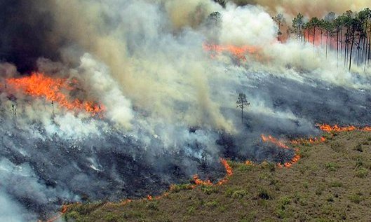 Razia Gabungan Terhadap Penggunaan Lahan Secara Nonprosedural Jangan Korbankan Warga