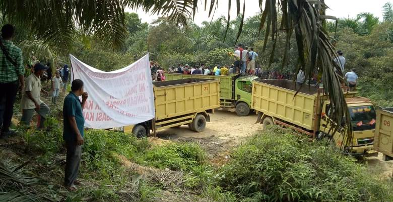 Gagal Dieksekusi, Awal Ditanam Kebun PT PSJ dan Nama Sudiono Sebagai "Dalang" Diungkap Tommy