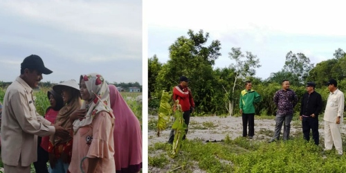 Kadis Pertanian Bengkalis dan Rombongan Kunjungi Beberapa Desa di Kecamatan Siak Kecil