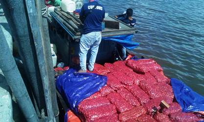 Ini Kata Tim Bea Cukai Bengkalis Terkait Penagkapan Bawang Ilegal