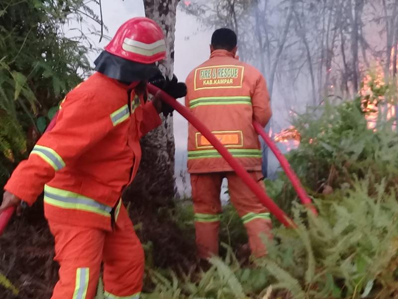 Setelah 5 Jam, Akhirnya Damkar Berhasil Padamkan Api yang Membakar Kebun Karet Warga