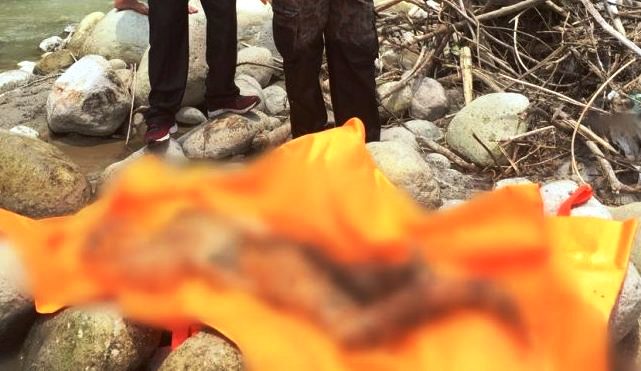 Geger, Kepala Penambang Emas Tradisional di Parigi Moutong Ditemukan Membusuk