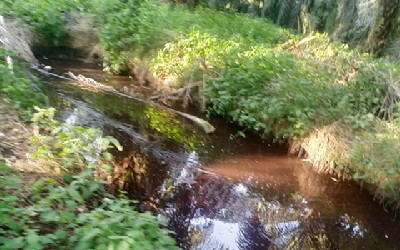 PT KAI Siak Buang Limbah Kelahan Warga, KLHK Mengetahui Tapi Belum Terdengar Ditindak