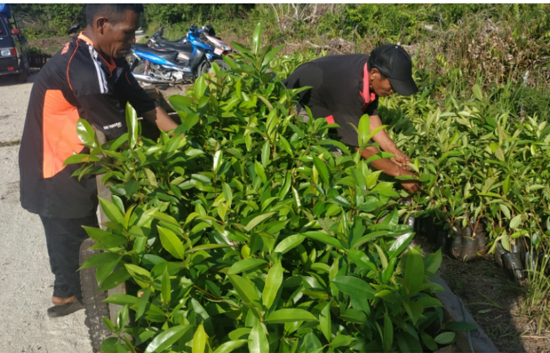 Pemerintah Saja Tidak Peduli, Tapi LSM PMPL Tetap Bantu Pulihkan Gambut