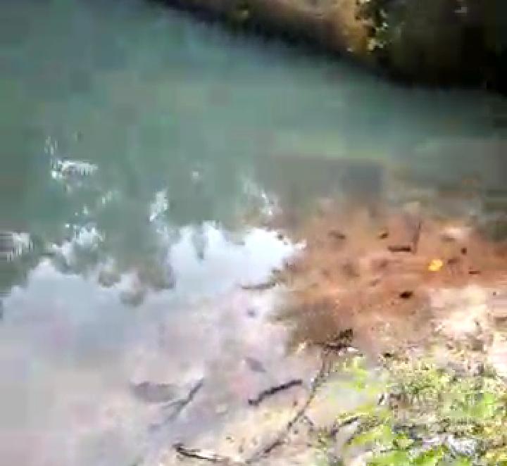 Diduga Aliran Sungai Tercemar Limbah Industri Perusahaan, Pihak Terkait : Masih Batas Kewajaran