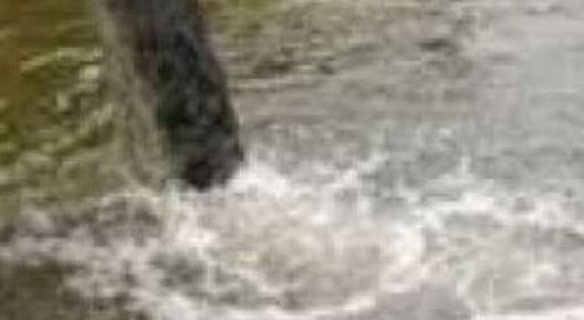 Cukup Jual Nama?, PT KAS "Bebas" Buang Limbah Masuk Sungai