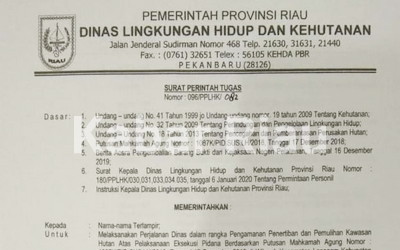 Pakar Hukum Pidana Riau Sayangkan Eksekusi Sawit PSJ Gagal