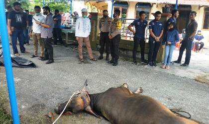 Kapolres dan Wakpolres Bengkalis Langsung Serahkan 10 Ekor Hewan Qurban di Mesjid Al-Baqi