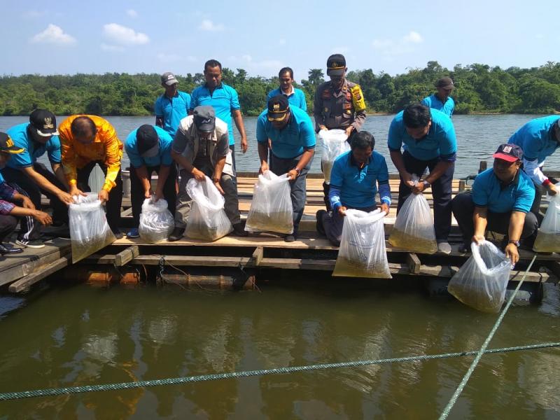 SEAFDEC dan BRPPUPP Tabur 85 Ribu Benih Ikan Jelawat di Sungai Kampar