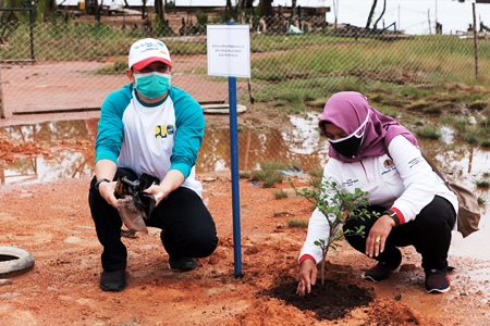Sangsakha Berperan Aktif dengan Pemerintah Kalbar Menjaga Lingkungan Menanam Mangrov