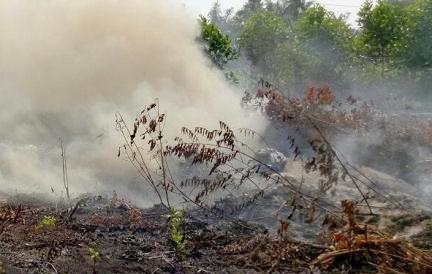 Karhutla di Sumatera dan Kalimantan Malah di Mojokerto Ispa Meningkat