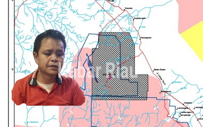 Dugaan Penggelapan Pajak PT Tunggal Perkasa Plantation Inhu Dilaporka ke Mabes Polri