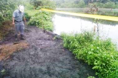 DPRD Pelalawan Minta Klarifikasi Tapal Batas, PT Indosawit dan Pihak Pemerintahan Mangkir