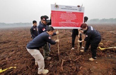 Tidak Ramah Lingkungan Tokoh Minta Sertifikasi RSPO PT ADEI Dicabut, Budi : Izin Kita Lengkap