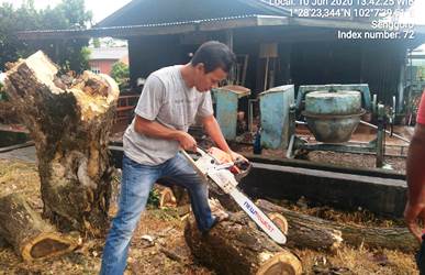 MPB Bengkalis Senggoro Berbenah Pangkas Pohon Lapuk