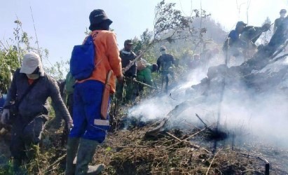 Kebakaran Hutan Petarangan Dataran Tinggi Dieng Padam