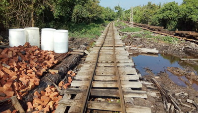 Diberitakan Babat Hutan Mainkan Izin, Ini Jawab Humas PT DRT