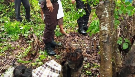 Kakek di Ternate Tewas Tersengat Listrik Akibat Kelalaian Petani