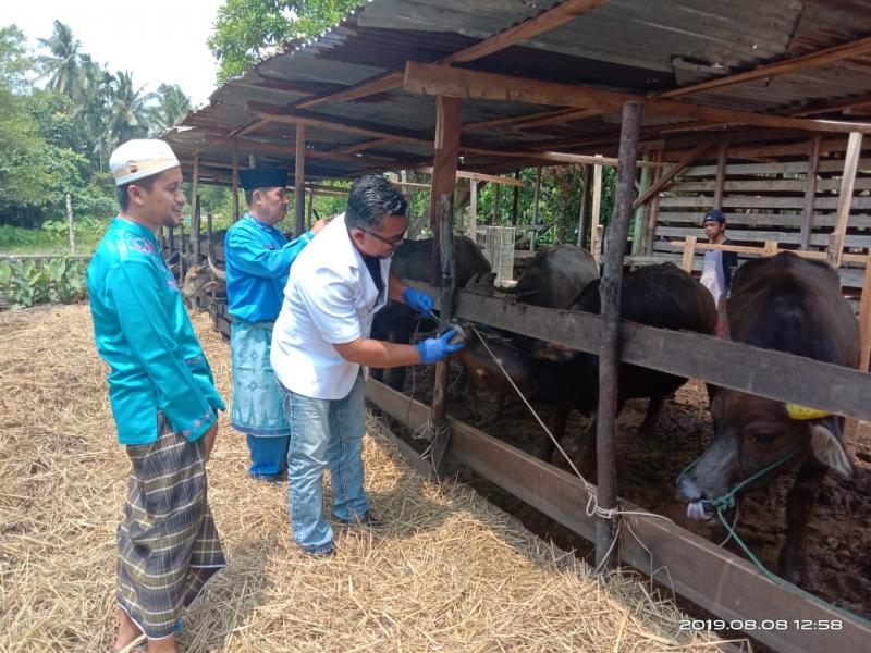 Hadapi Idul Adha, Disbunakkeswan Kampar Bentuk 21 Tim Kerjasama Dengan MUI