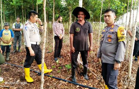 Hendra Gunawan Kunker ke Pembibitan Kayu Gerunggang