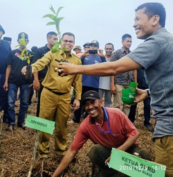 Tanam 1000 Pohon Gerunggang, IPMPL Dipuji Ketua DPRD Prov Riau